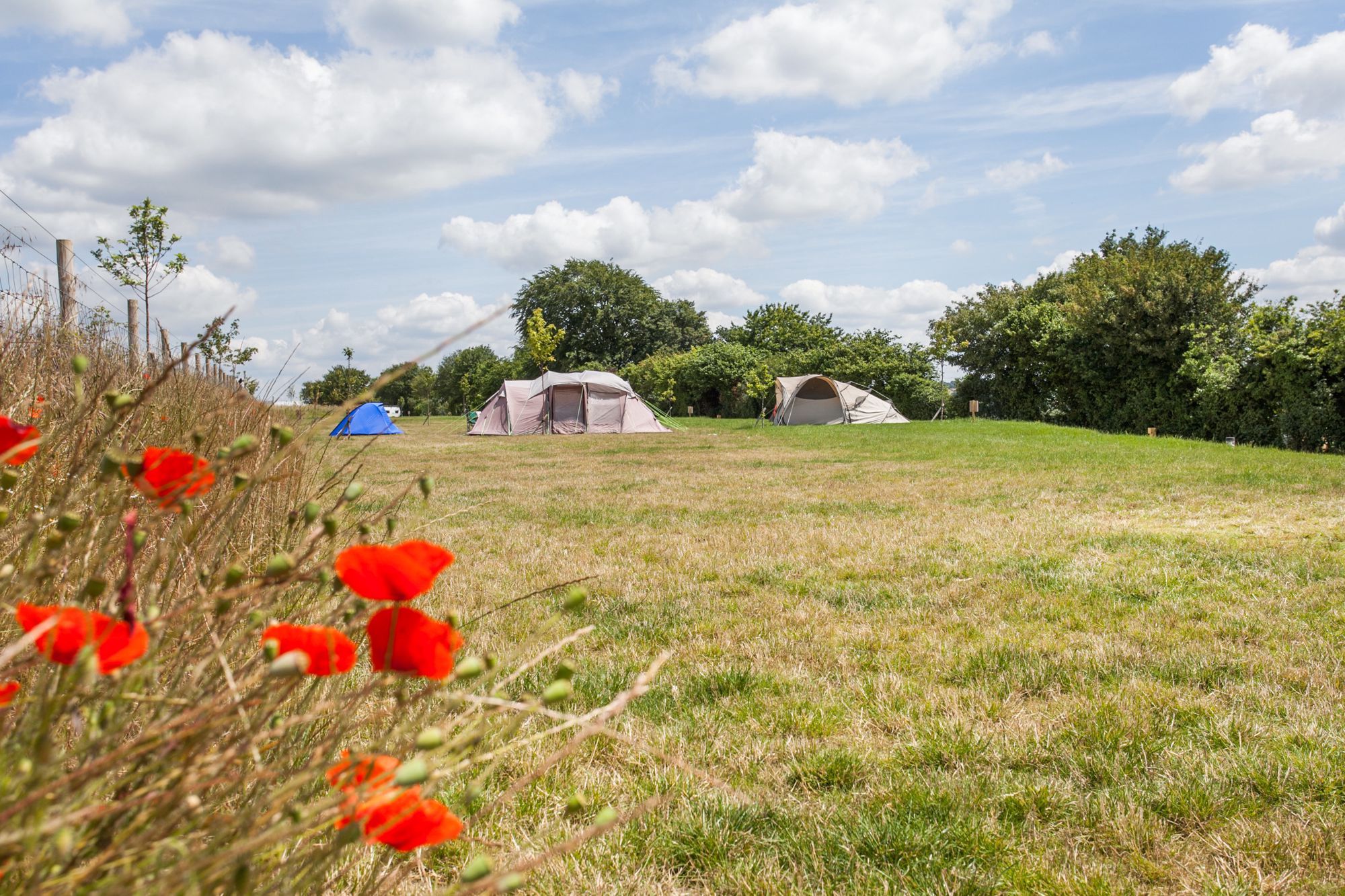 Winchester Camping Campsites in Winchester, Hampshire